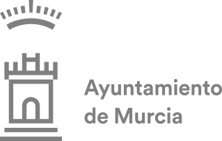 Ayuntamiento de Murcia (Spain)